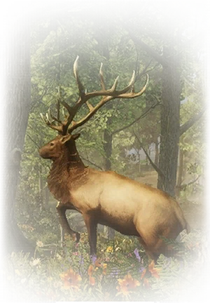 Icon for item "Elk Bull"